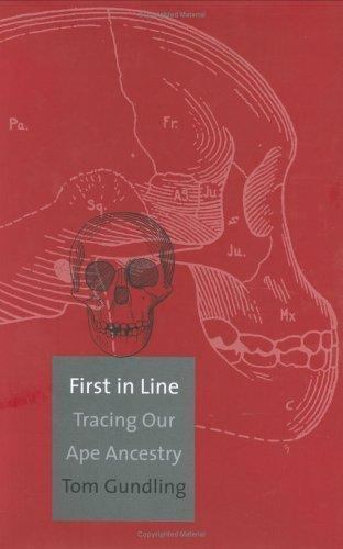 First in Line: Tracing Our Ape Ancestry, Gundling, Tom, Good Book