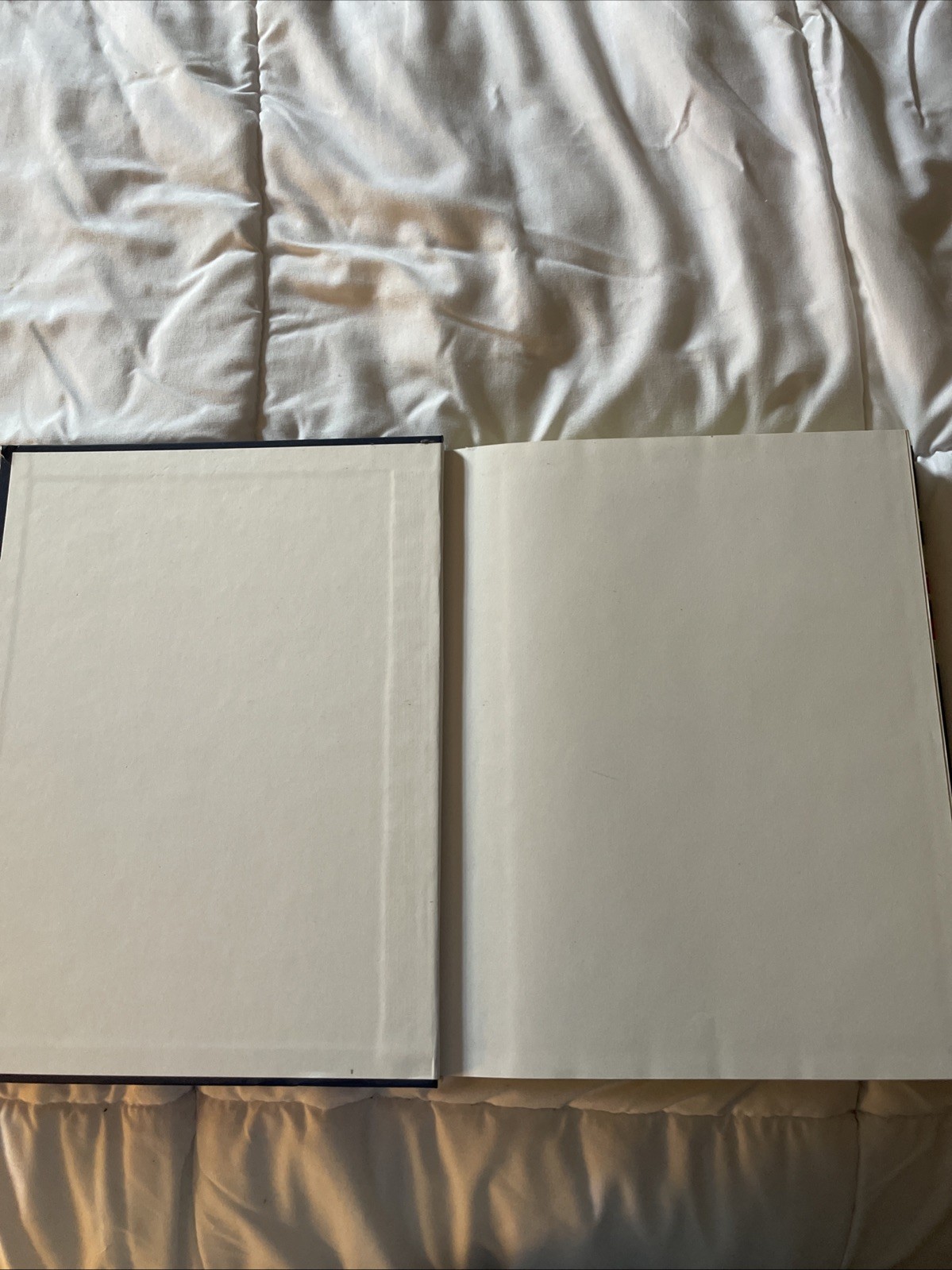 Introduction to Criminal Justice by John L. Worrall and Larry J. Siegel (2013)