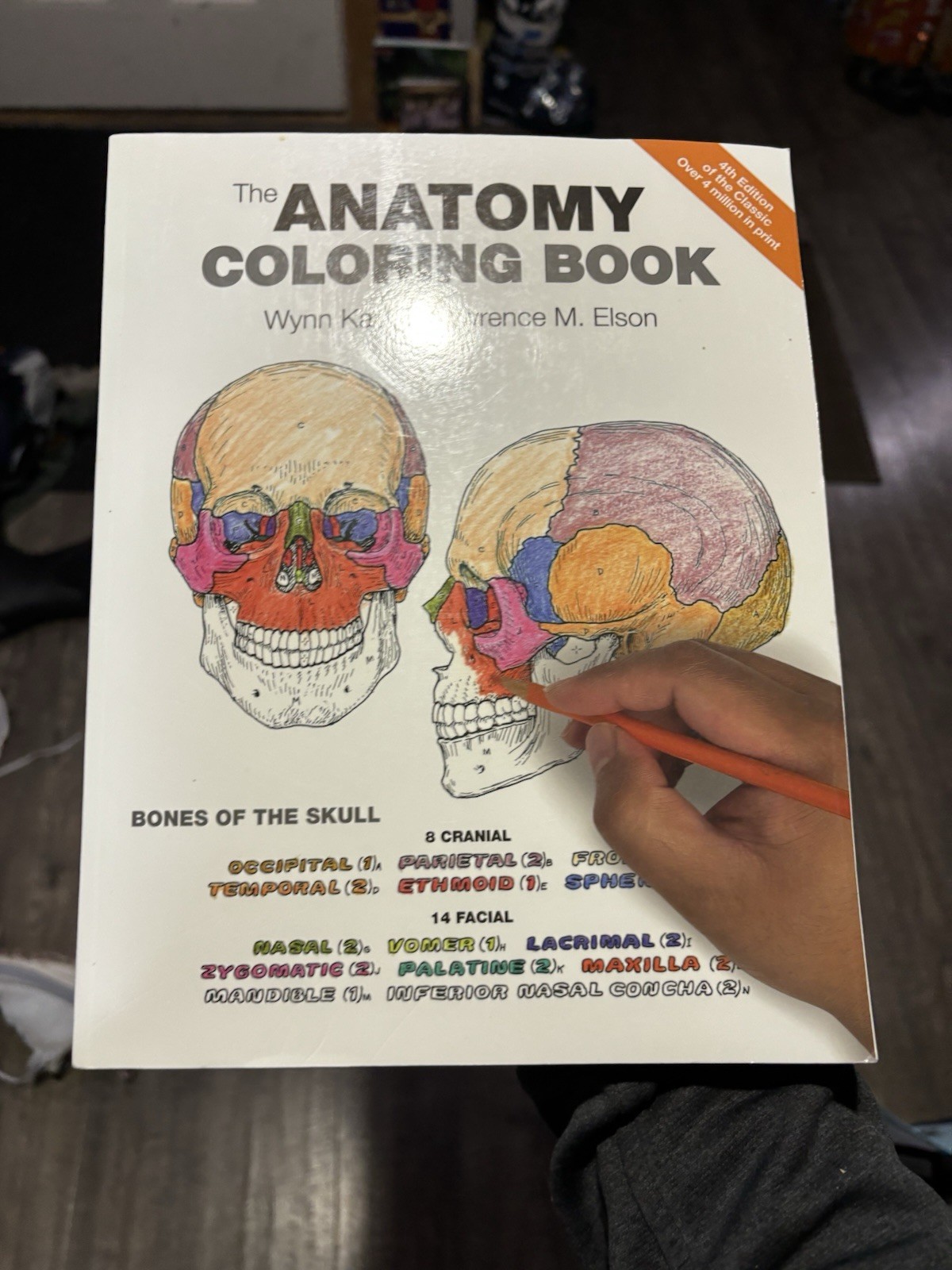 Anatomy Coloring Book by Wynn Kapit and Lawrence Elson (2013, Trade Paperback)
