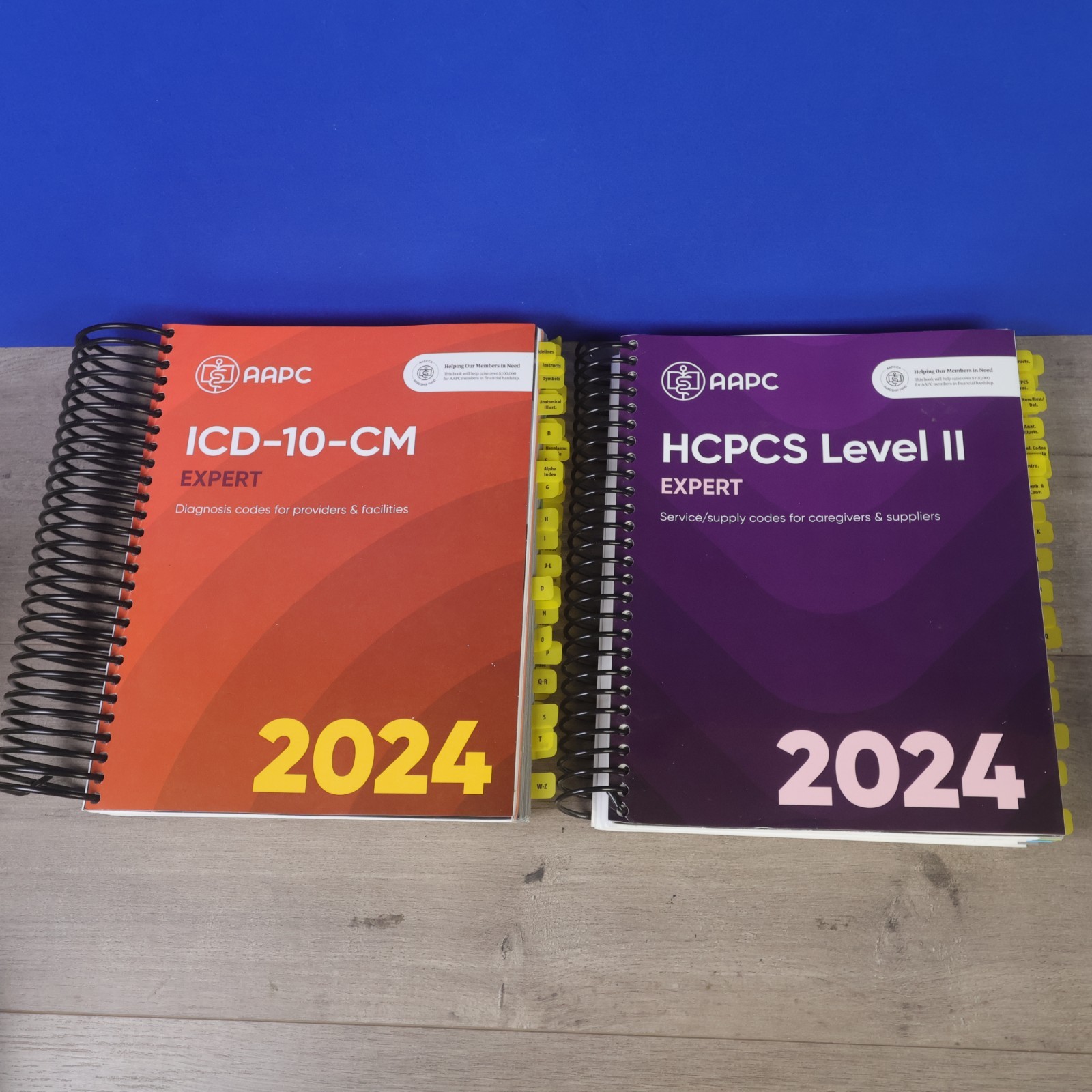 2024 ICD-10-CM & HCPCS Level II Expert Code Book Lot AAPC Spiral EUC