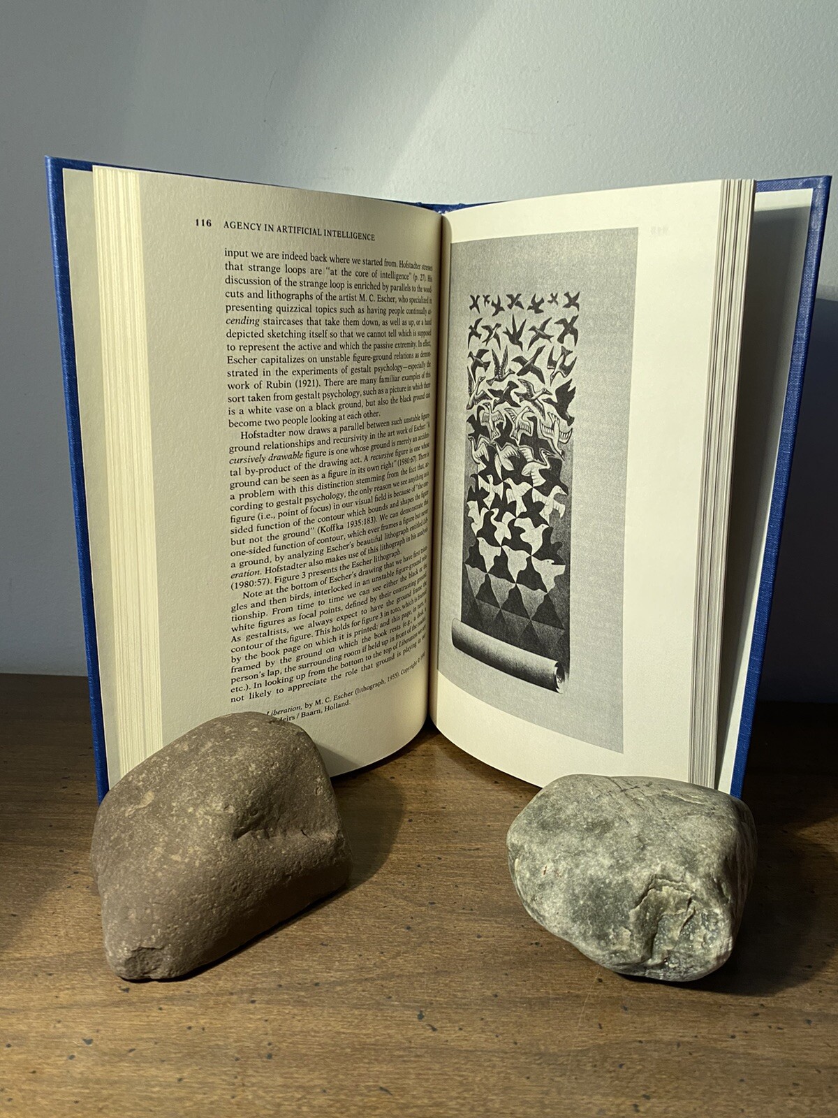 Joseph F. Rychlak Artificial Intelligence and Human Reason (Hardback) First Ed