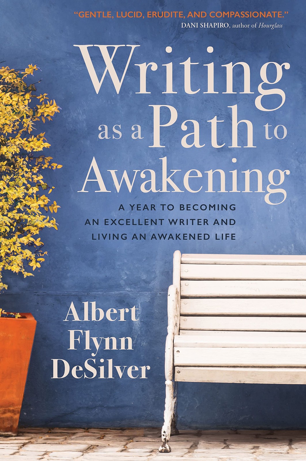 Writing as a Path to Awakening: A Year to Becoming an Excellent Writer and L…