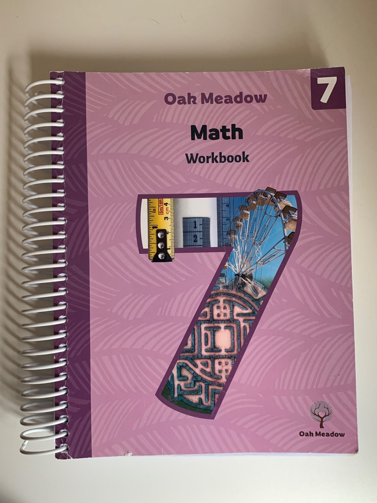 Oak Meadow 7th Grade Math Workbook (NEW)