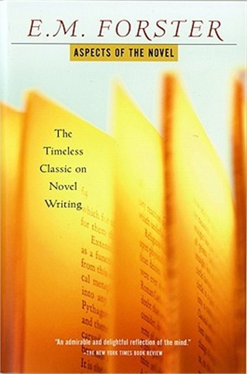 Aspects of the Novel (Paperback or Softback)