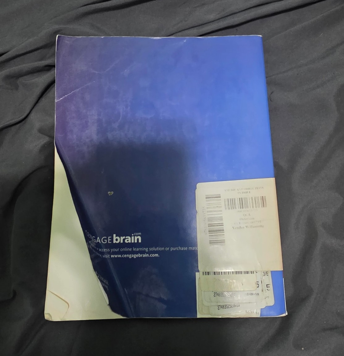 Cengage American Corrections In Brief 3rd Ed 2019 Paperback Clear 512p