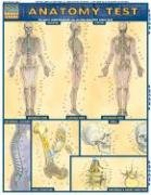 Anatomy Test Vincent Perez
