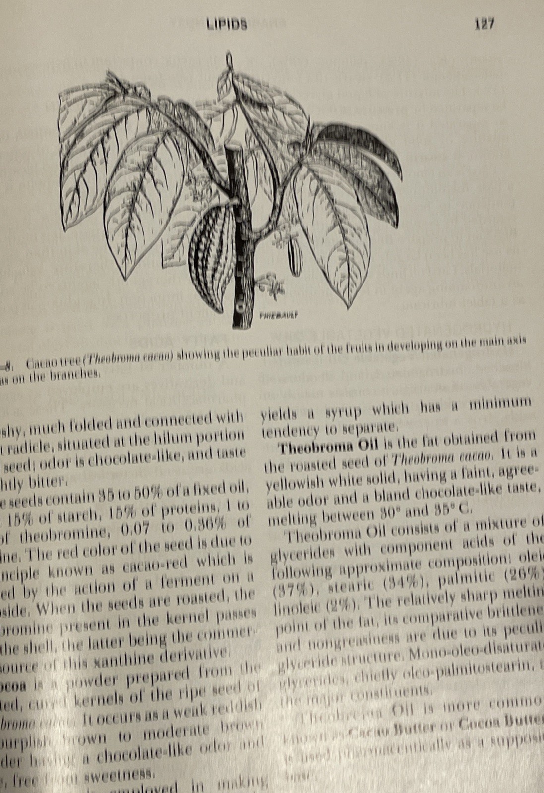 PHARMACOGNOSY Vintage Textbook by Varro Tyler, Lynn Brady & James Robbers 1976