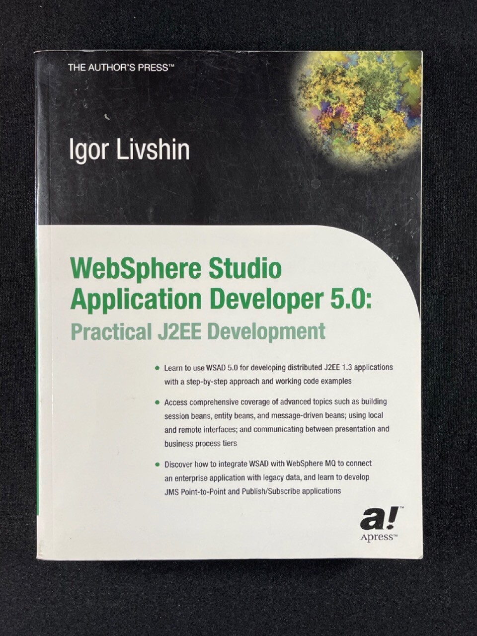 WebSphere Studio Application Developer 5.0 by Igor Livshin VTG Compter Book