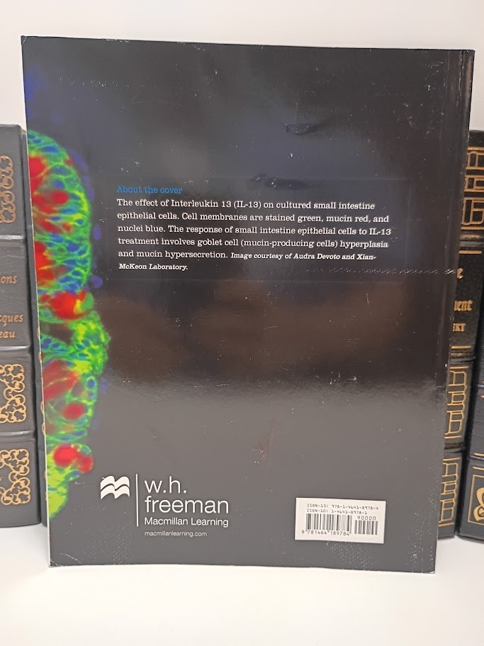 Kuby Immunology 8th Edition Punt Stranford Jones Owen W.H. Freeman Paperback