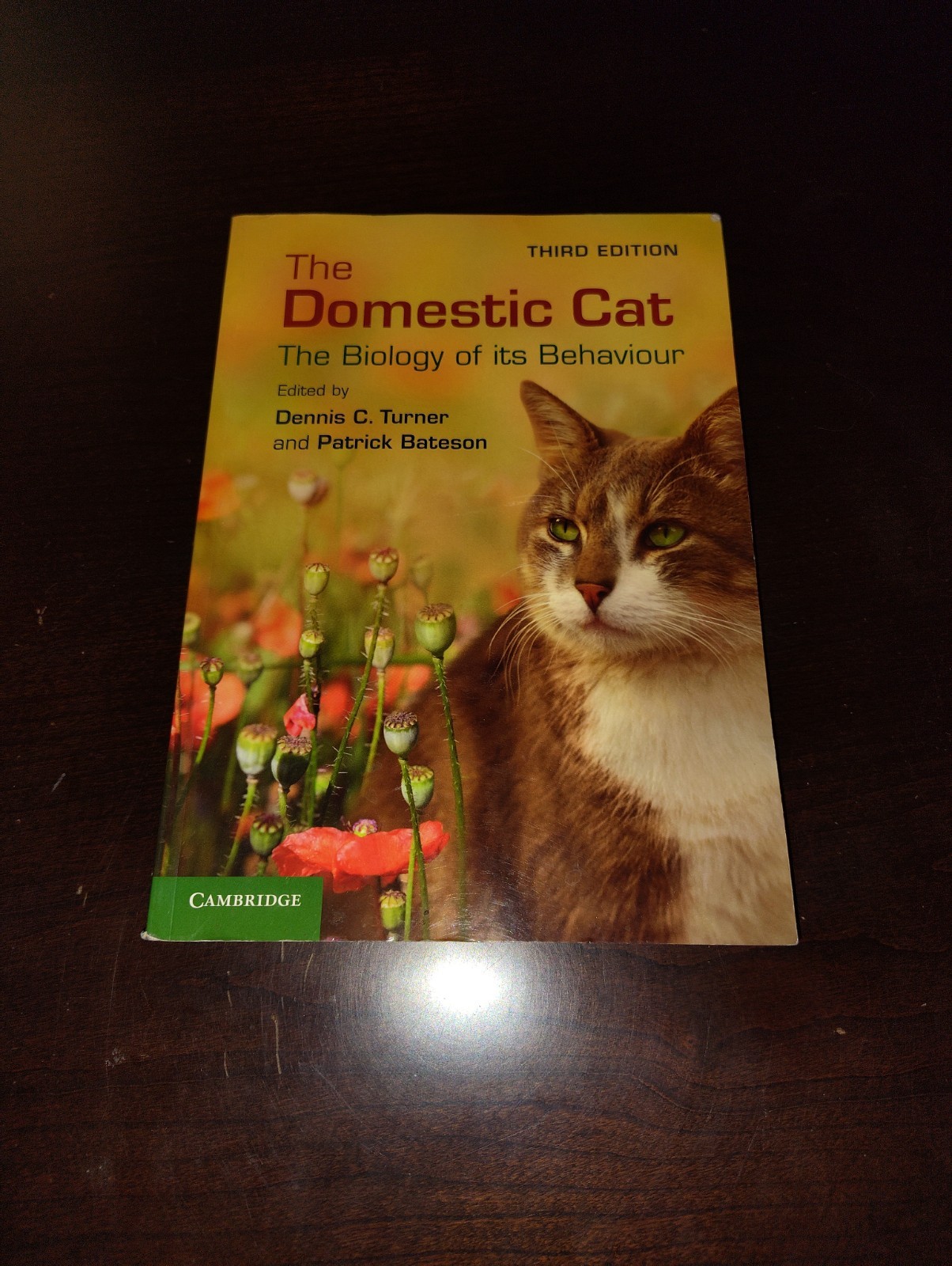 Domestic Cat : The Biology of Its Behaviour by Patrick Bateson (2013, Trade…