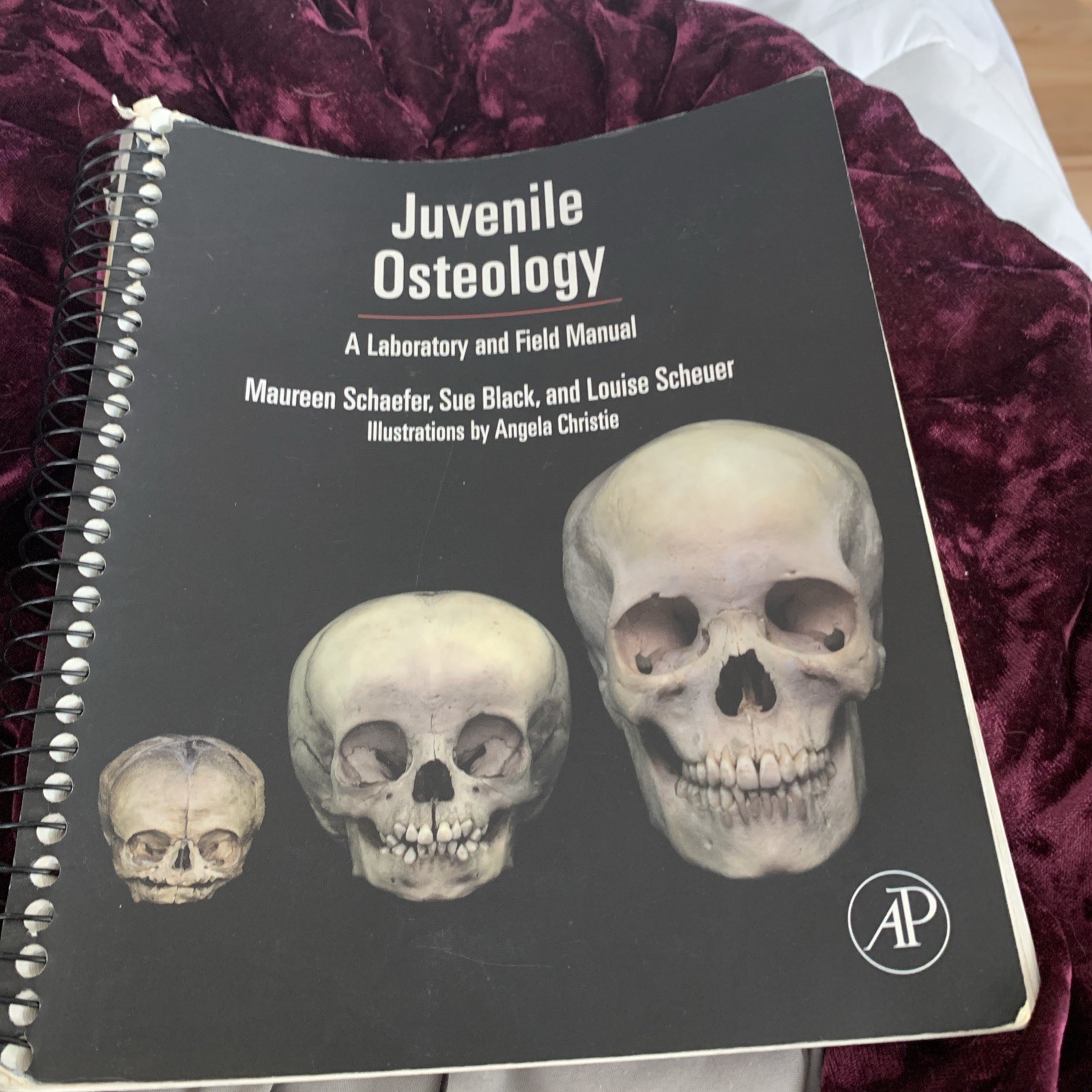 Juvenile Osteology : A Laboratory and Field Manual