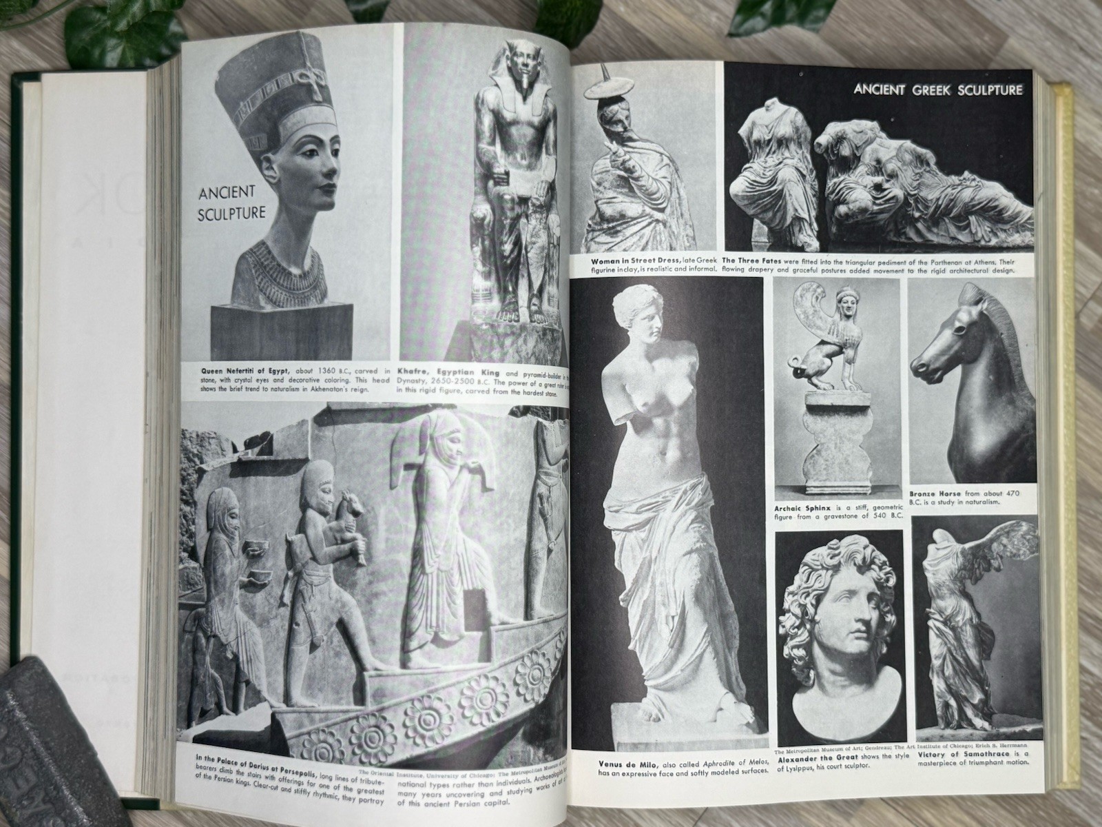 The World Book Encyclopedia Book S Vol 17, Published In 1966, Vintage