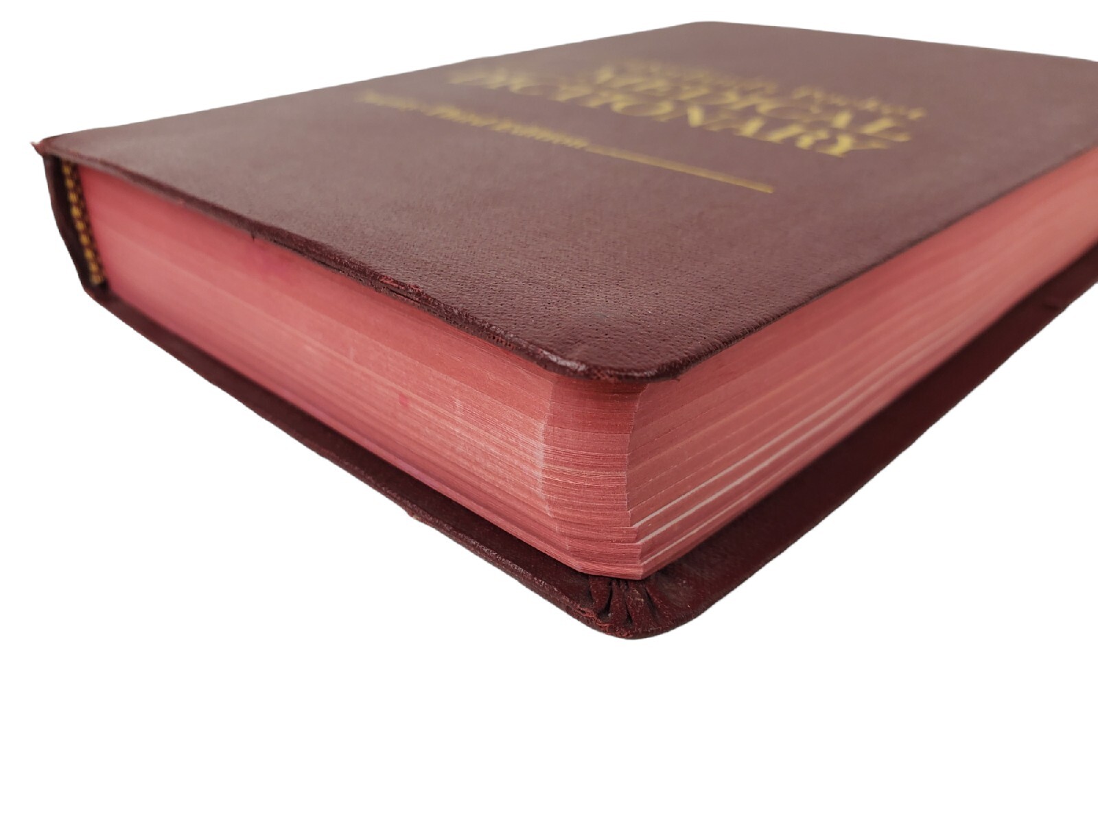 Dorland’s Pocket Medical Dictionary 23rd Edition 1982 W. B. Saunders Company