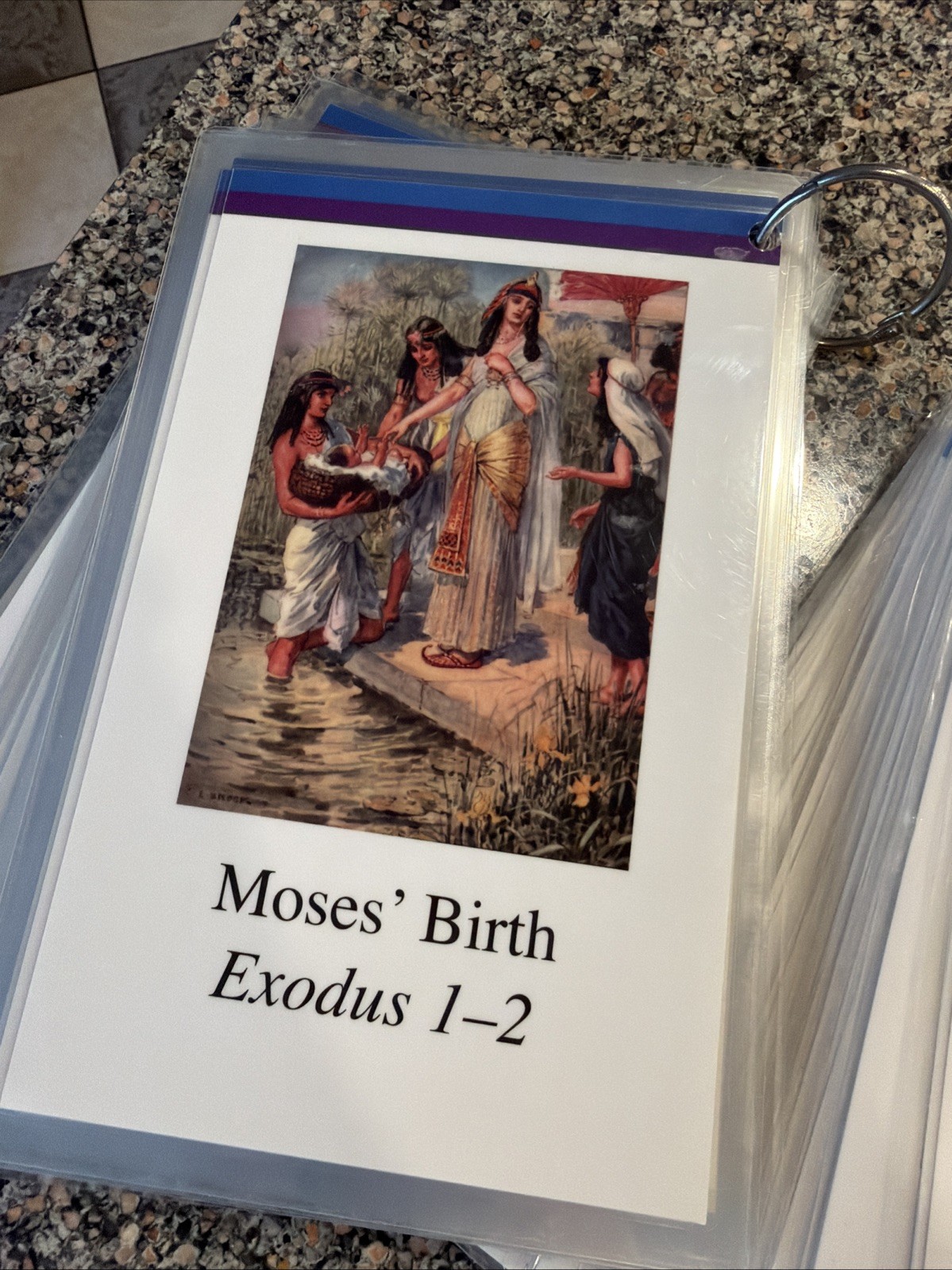 Huge Lot Memoria Press Timeline Laminated Cards! Homeschool Lot!