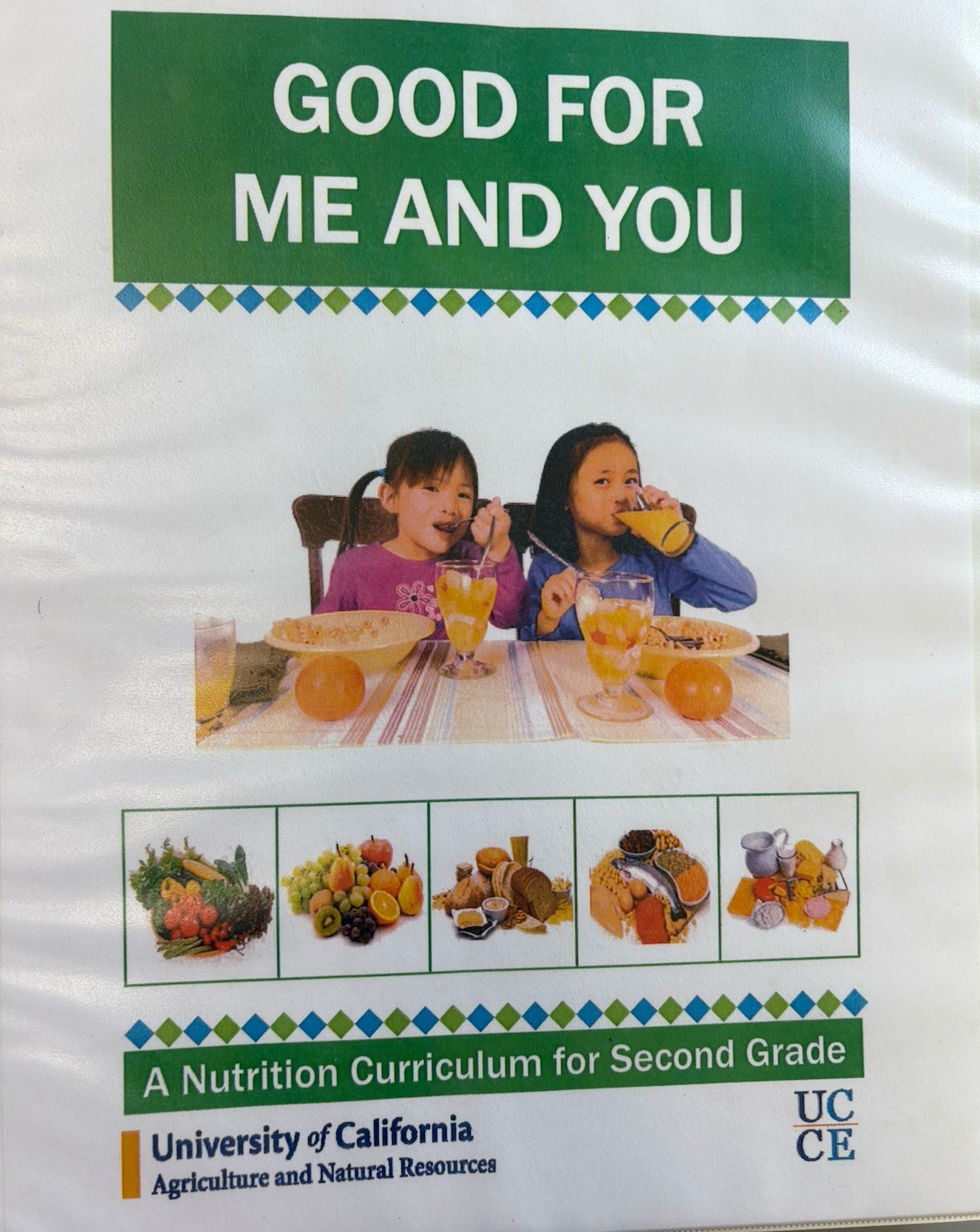 Good For Me And You; 2nd Grade Nutrition Curriculum