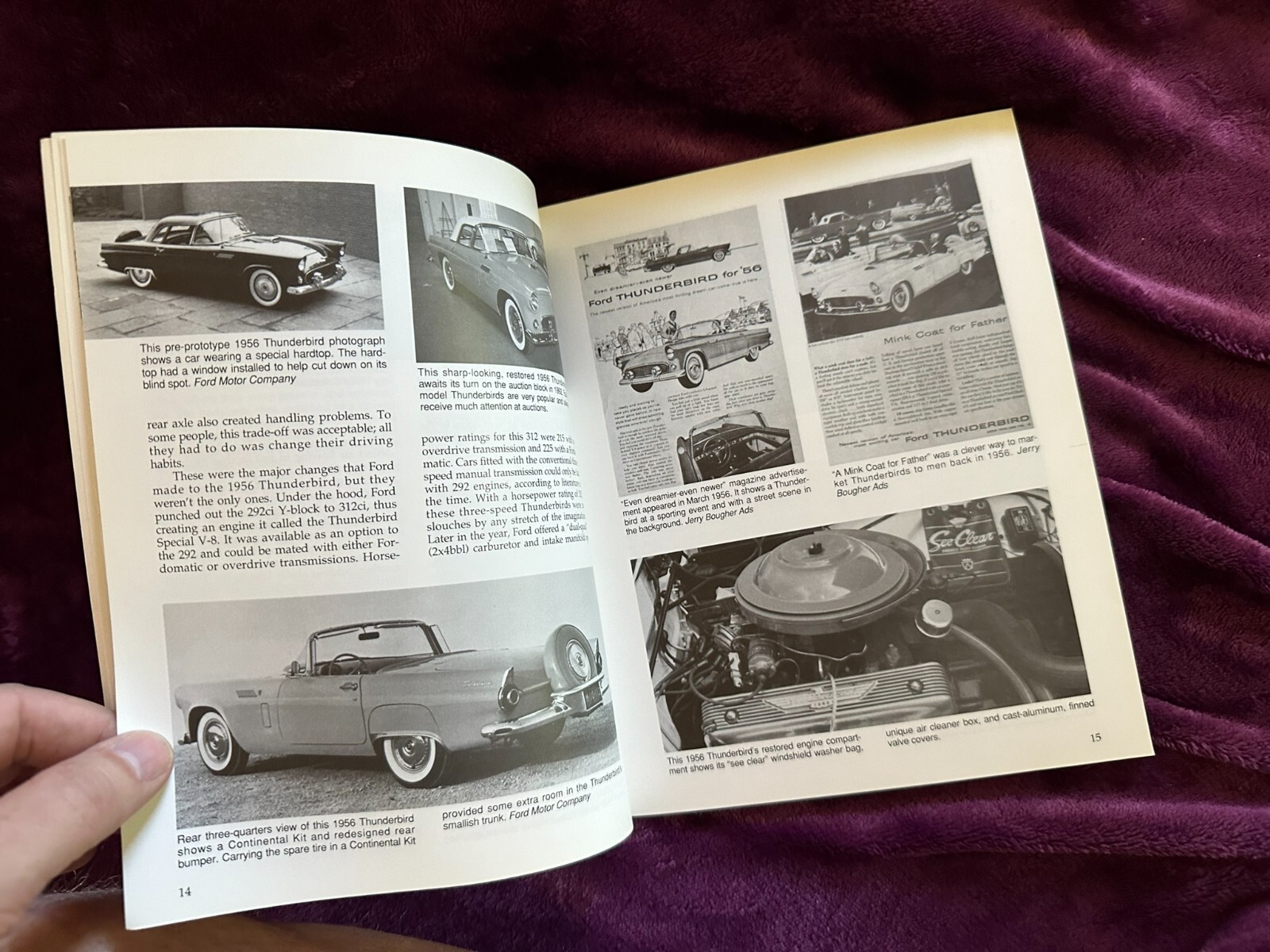 Illustrated Thunderbird Buyer’s Guide by McLaughlin, Paul