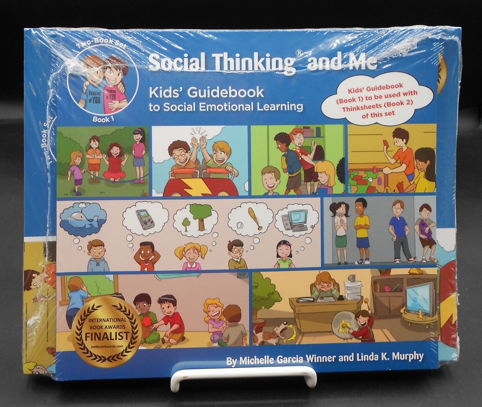 SOCIAL THINKING & ME: THINKSHEETS & GUIDEBOOK by GARCIA WINNER 2016 PB BRAND NEW