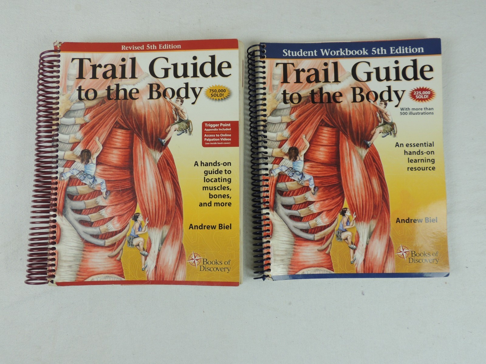 Trail Guide to the Body & Workbook By Andrew Biel 5th Edition – READ DESCRIPTION