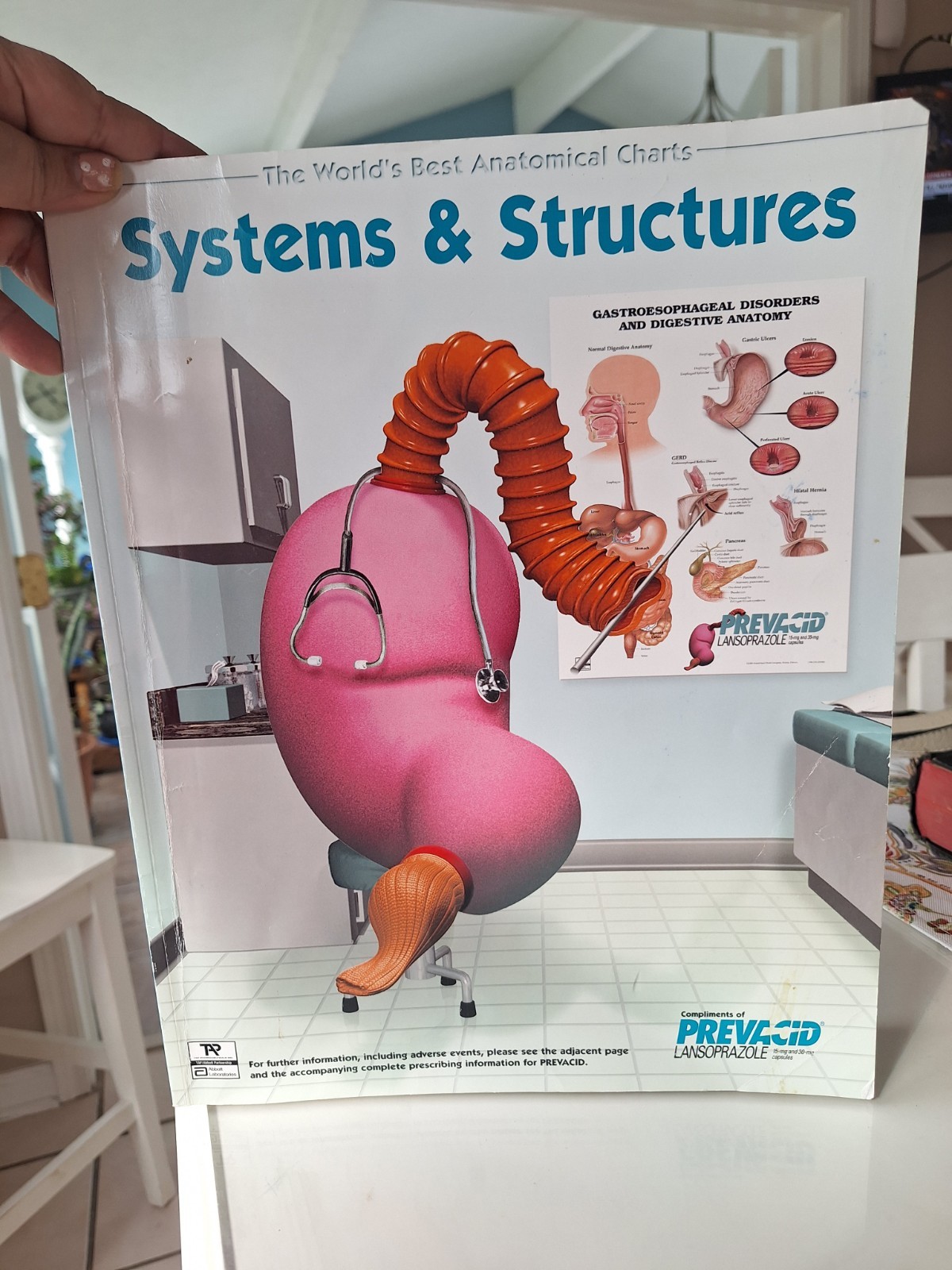 The Worlds Best Anatomical Charts Systems & Structures
