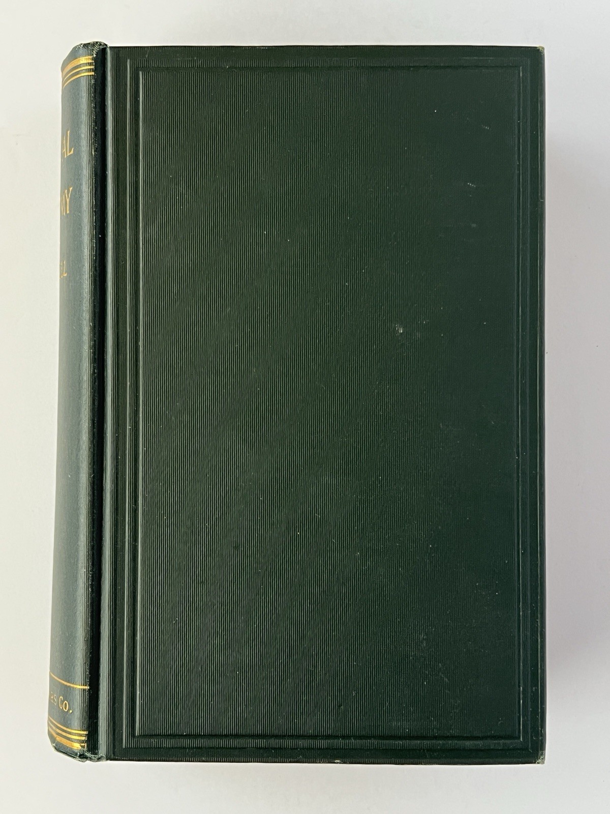 Antique 1908 Surgical Anatomy Campbell WB Saunders Co Medical Textbook Book