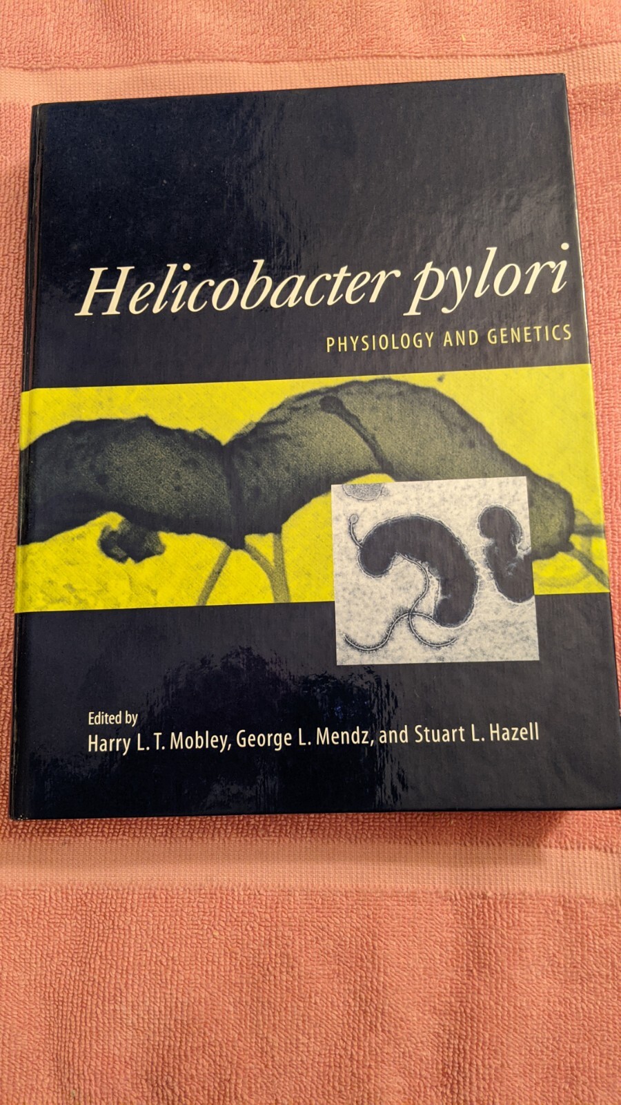Mobley et al, Eds., HELICOBACTER PYLORI: PHYSIOLOGY & GENETICS, 2001, ASM Press