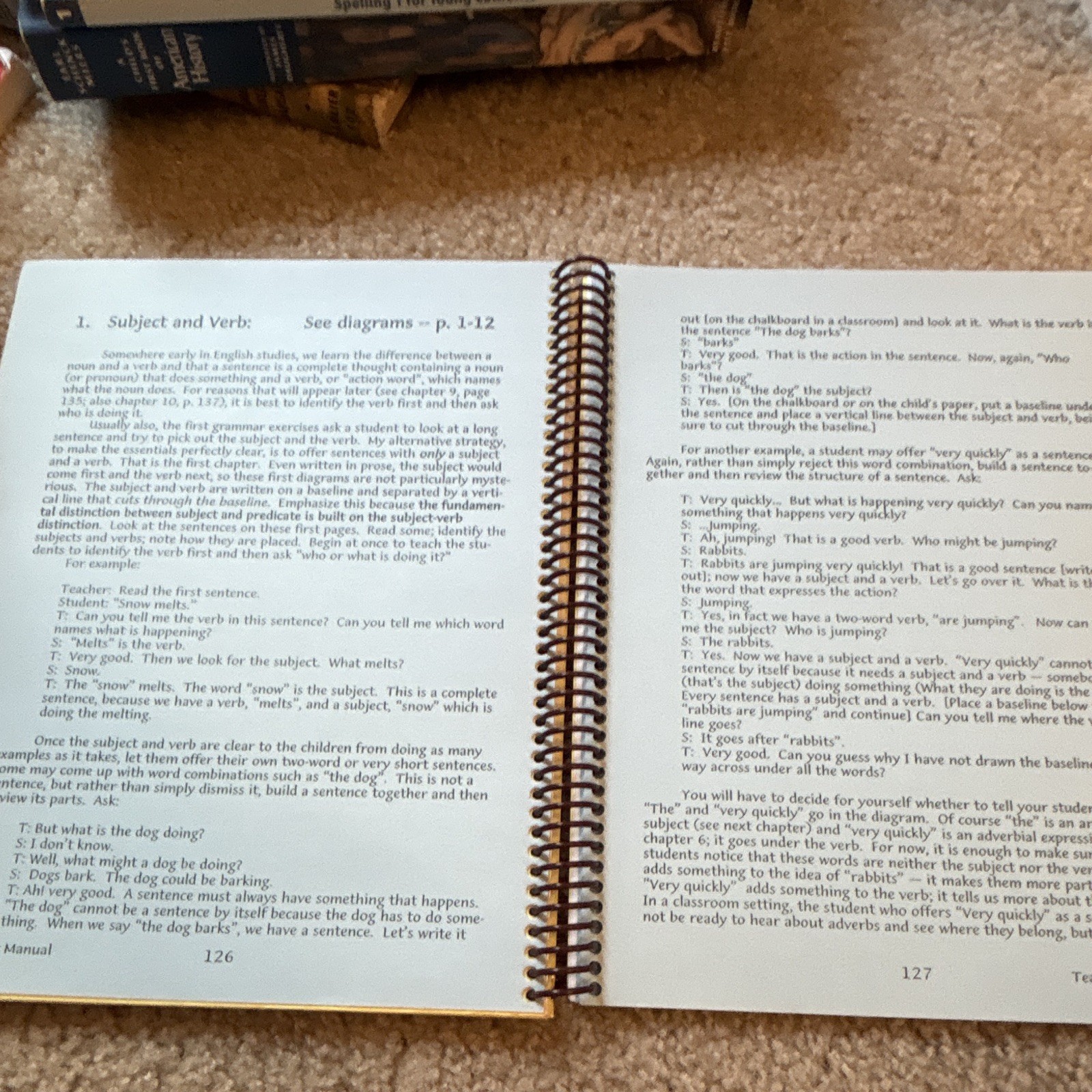 The First Whole Book of Diagrams by Mary Daly Spiral Grammar Textbook