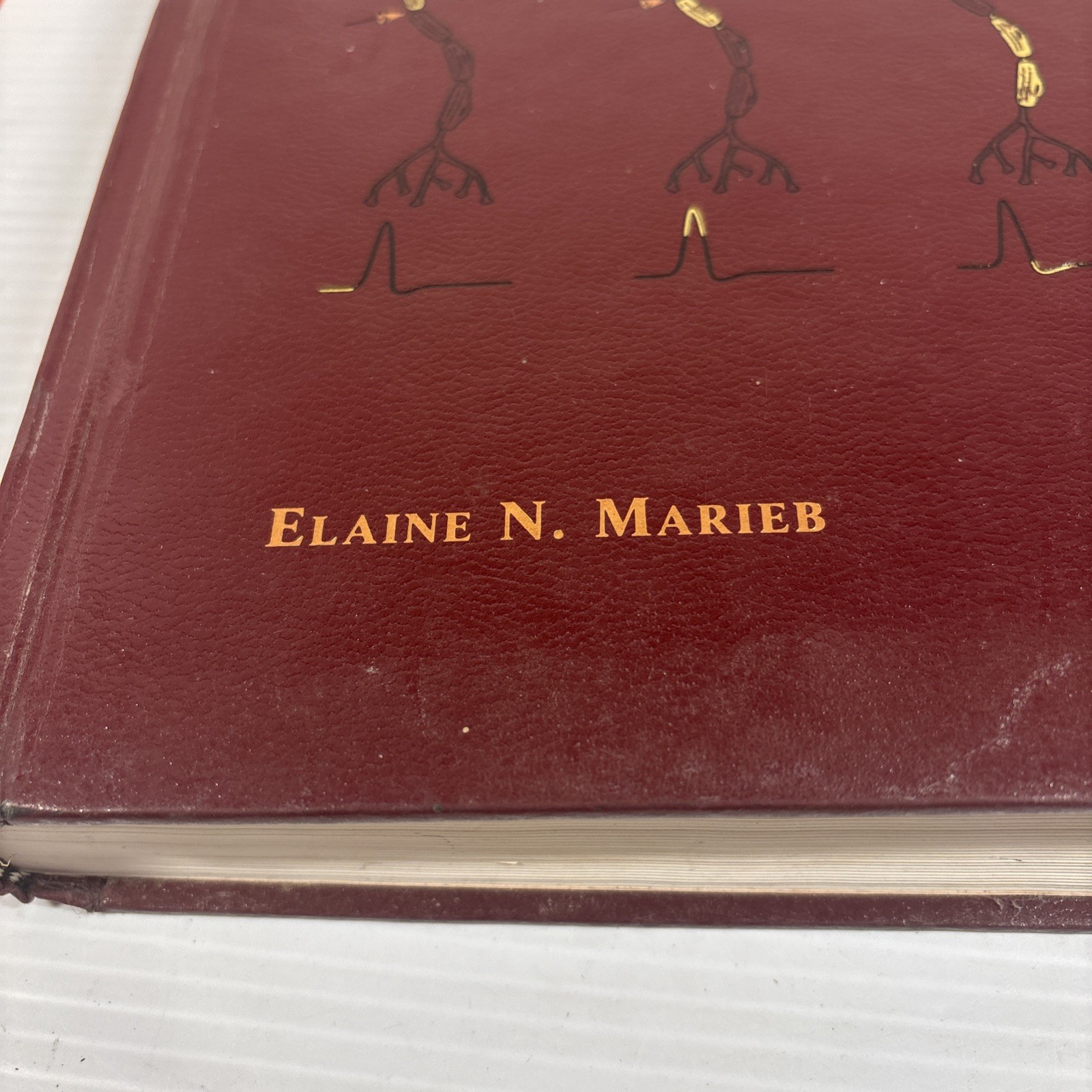 Anatomy And Physiology, 2nd Edition/ Elaine Marieb INCLUDES CD