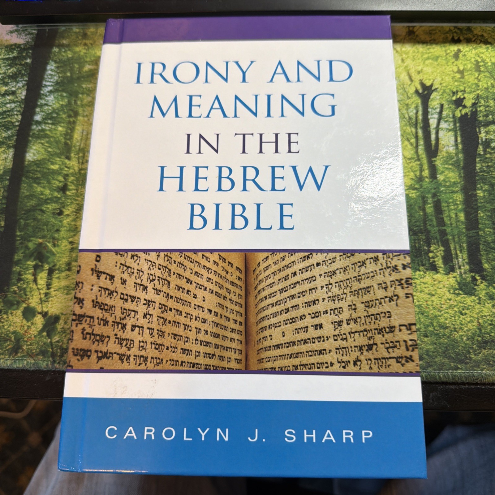 Biblical Literature Ser.: Irony and Meaning in the Hebrew Bible by Carolyn J….