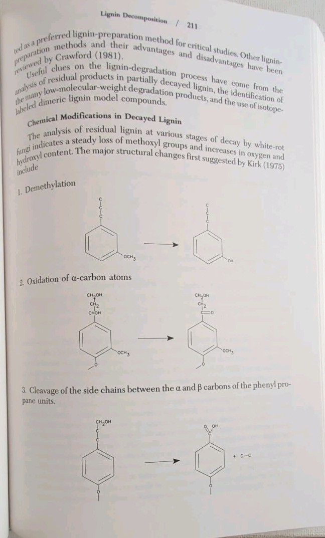 Wood Microbiology : Decay and Its Prevention by Jeffrey J. Morrell and Zabel