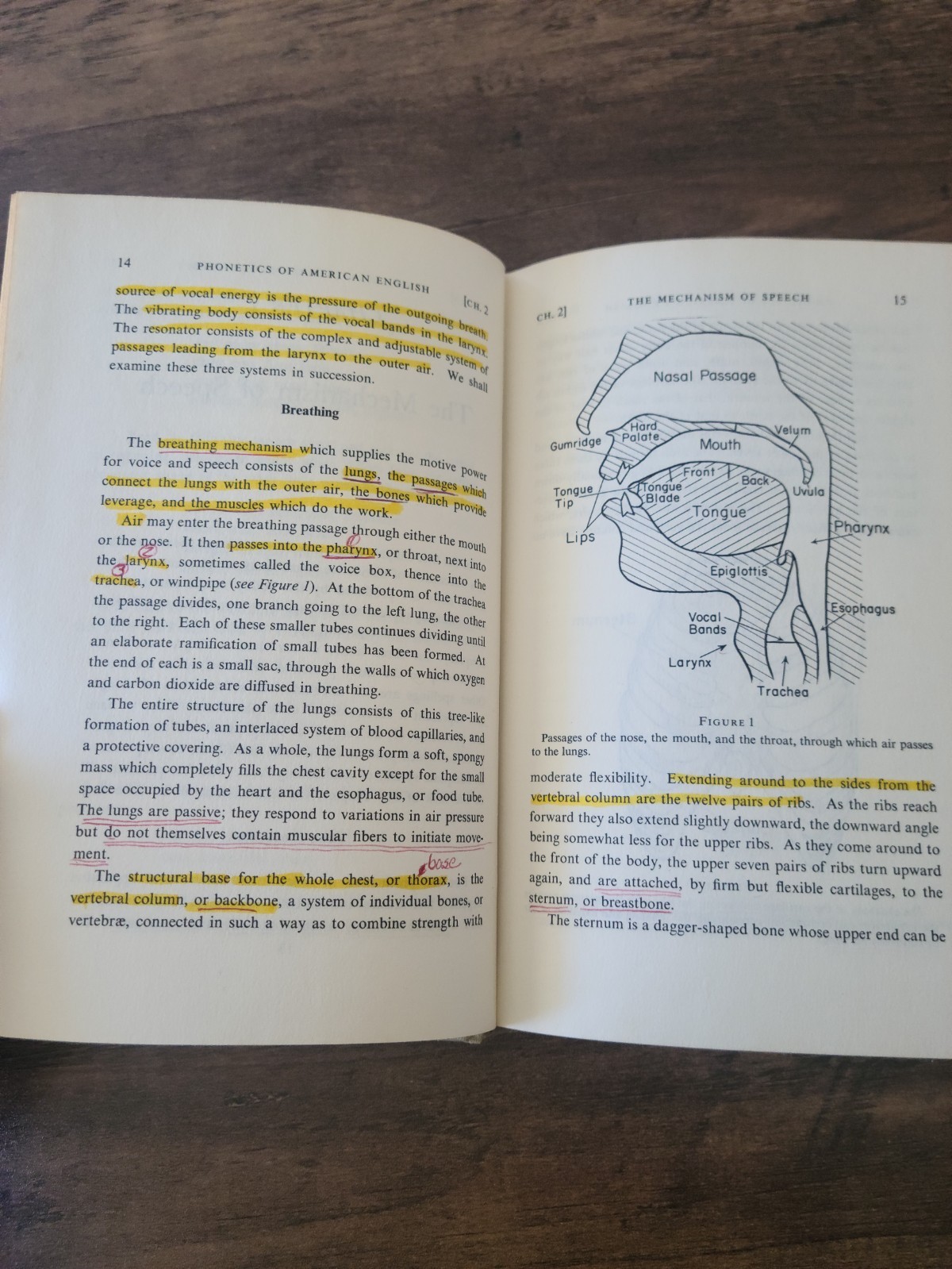 An Introduction to the Phonetics of American English Charles K. T