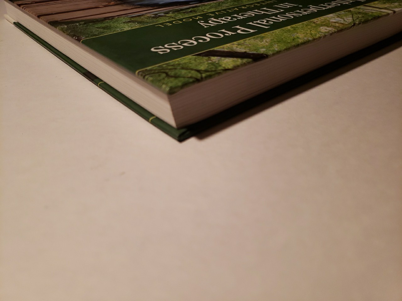 Interpersonal Process in Therapy: An Integrative Model – Hardcover –