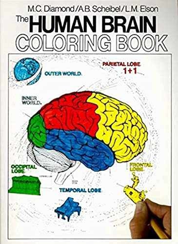 The Human Brain Coloring Book: – Paperback, by Diamond Marian C.; – Acceptable w