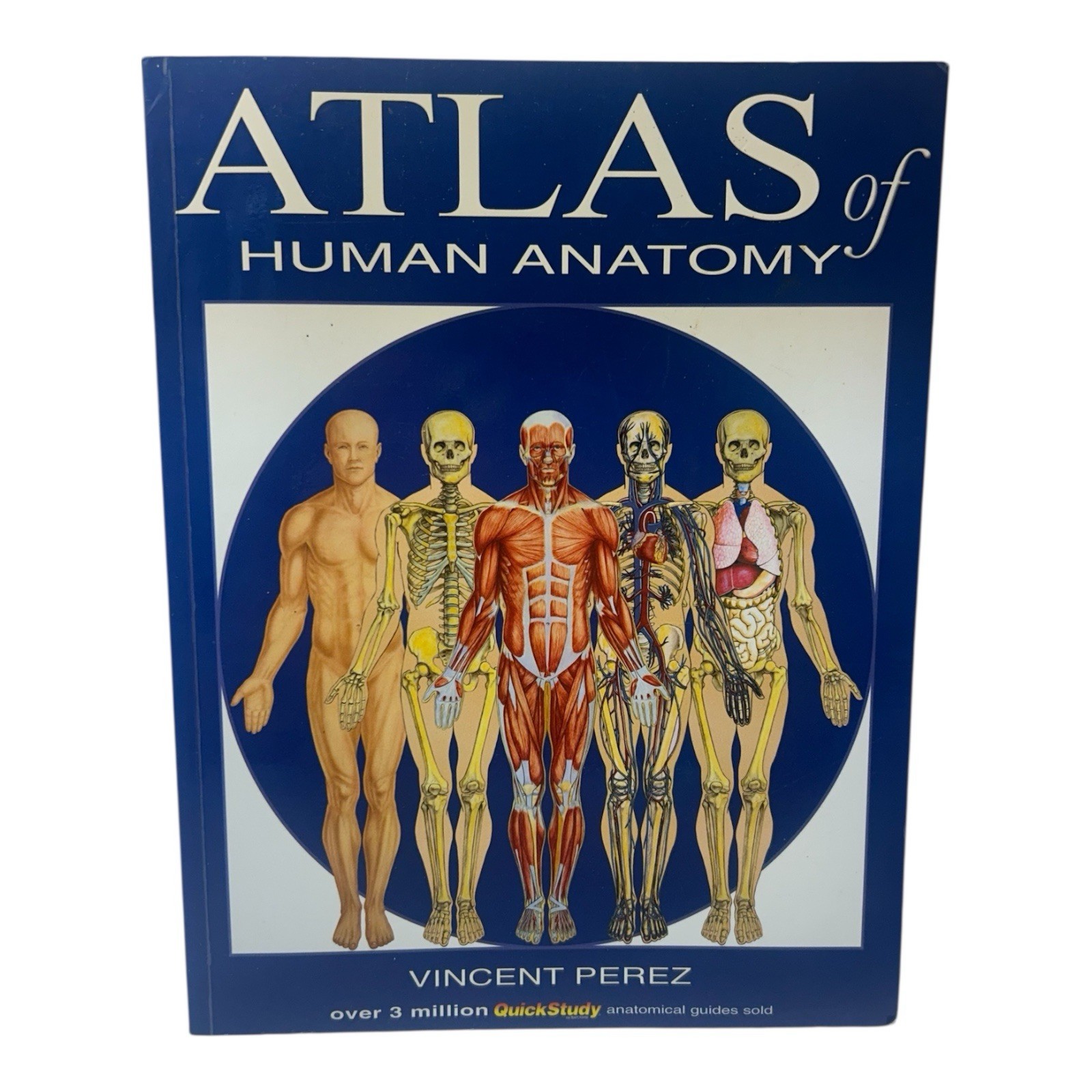 2006 Illustrated Atlas Of Human Anatomy Study Guide By Vincent Perez