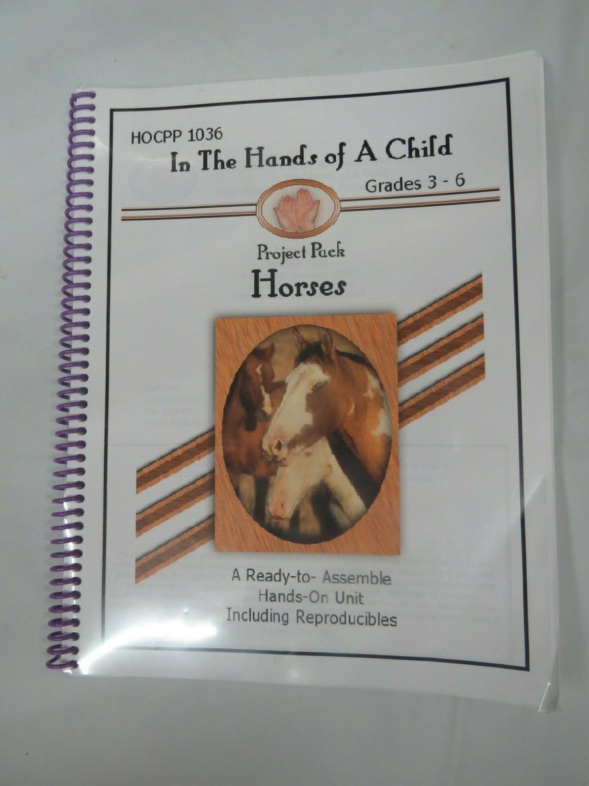 Horses Lap Book & Answer Key -In The Hands Of A Child -Home Schooling HOCPP 1036