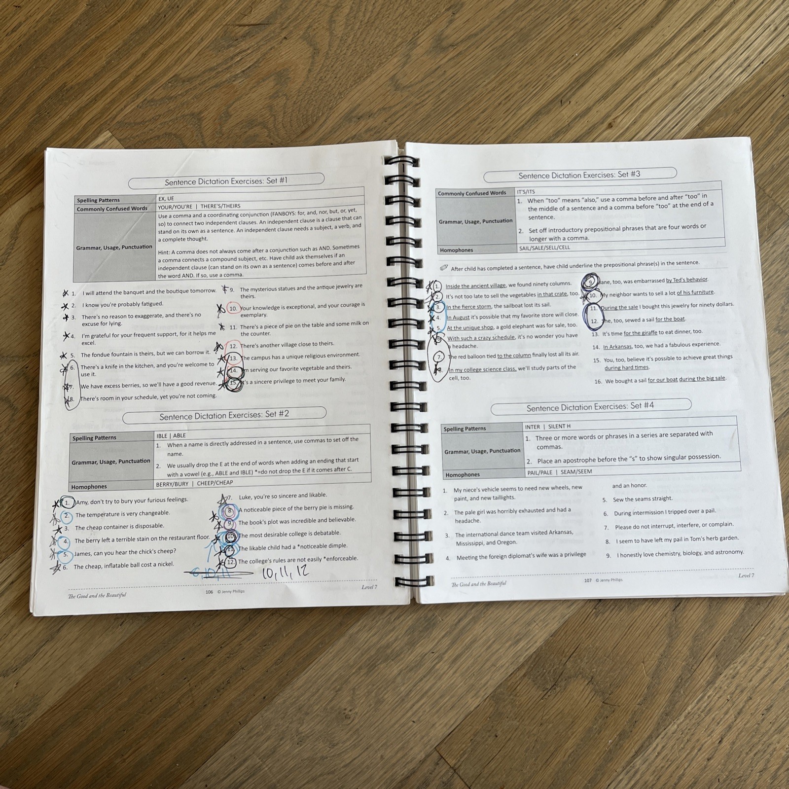 Good And The Beautiful Level 7 Course Companion-Gently Used