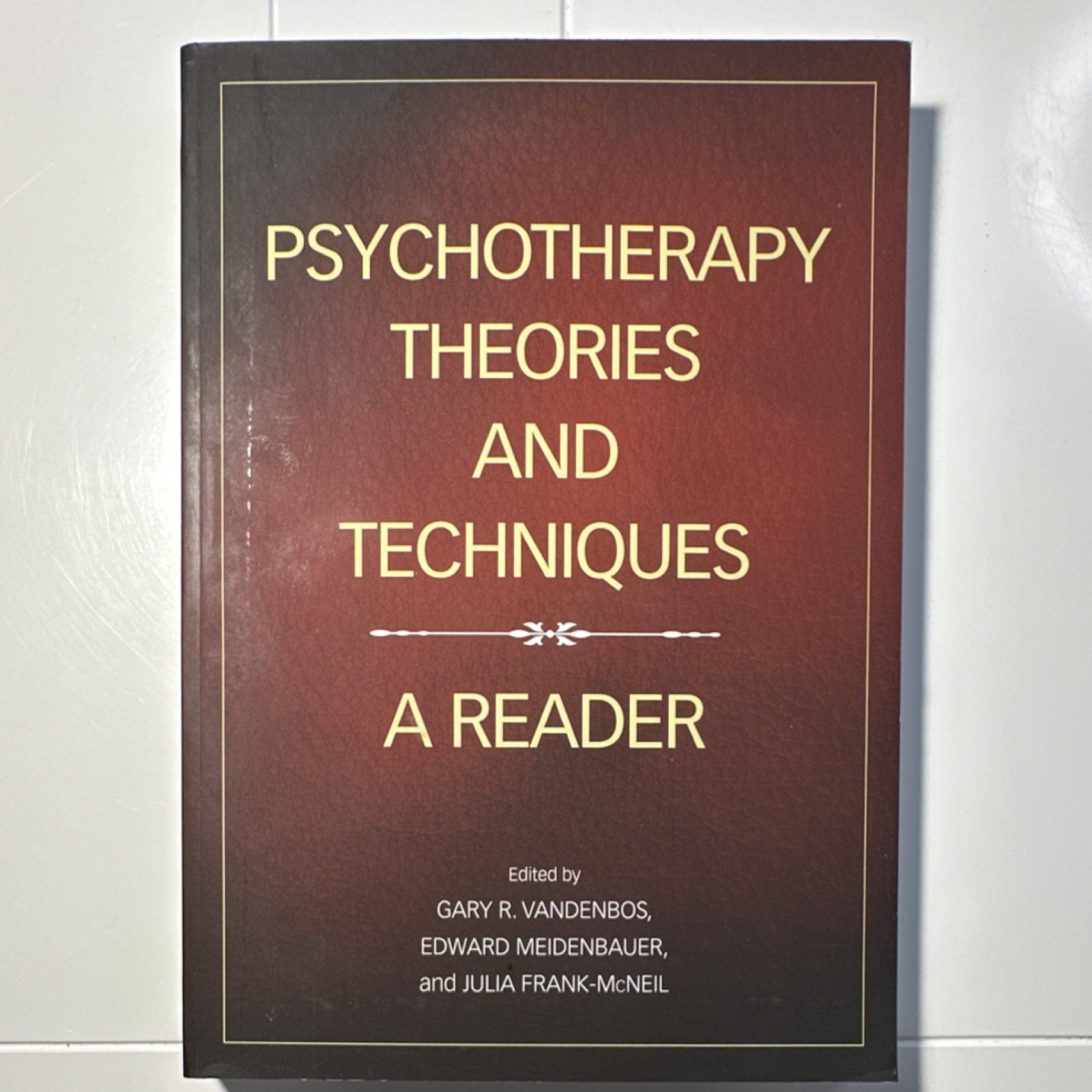 Psychotherapy Theories and Techniques VandenBos Meidenbauer APA Paperback