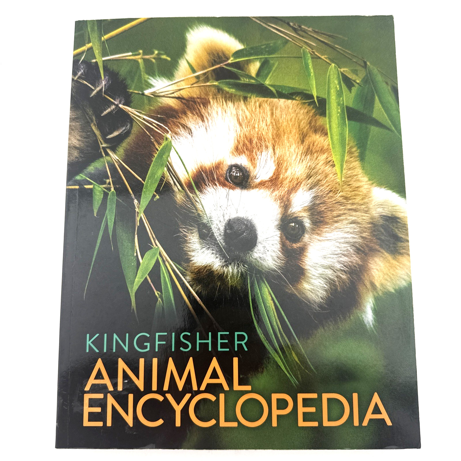 Kingfisher Animal Encyclopedia David Burnie 3rd Edition Paperback