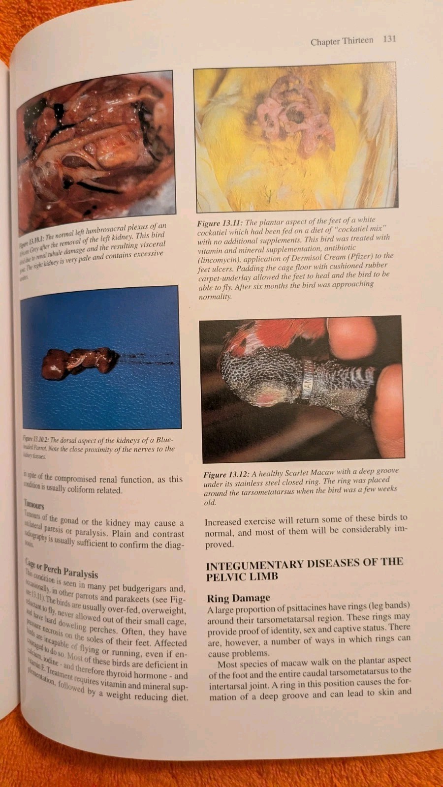 Peter Beynon, MANUAL OF PSITTACINE BIRDS, 1996, PB, Iowa State Press, BSAVA