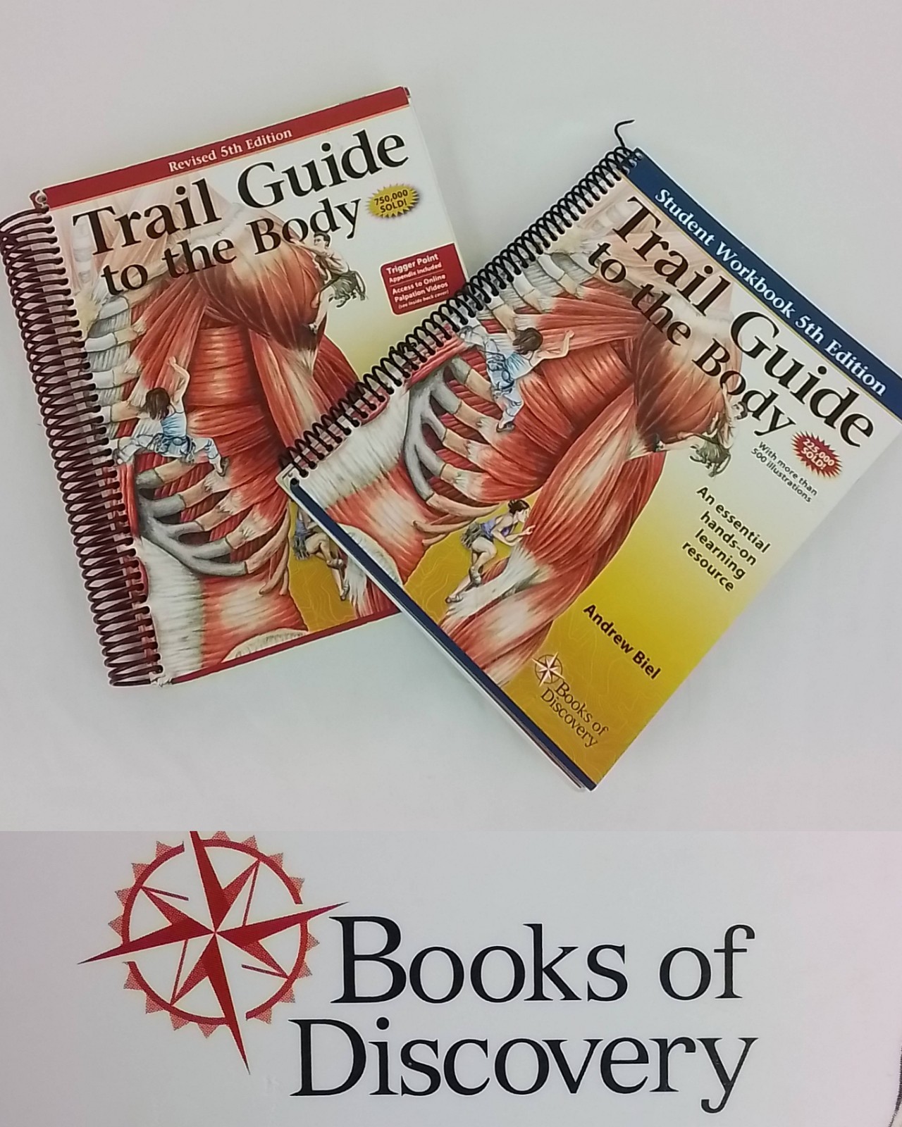 Trail Guide to the Body 5th Ed Andrew Biel 2014 Textbook + Workbook Used #J3758
