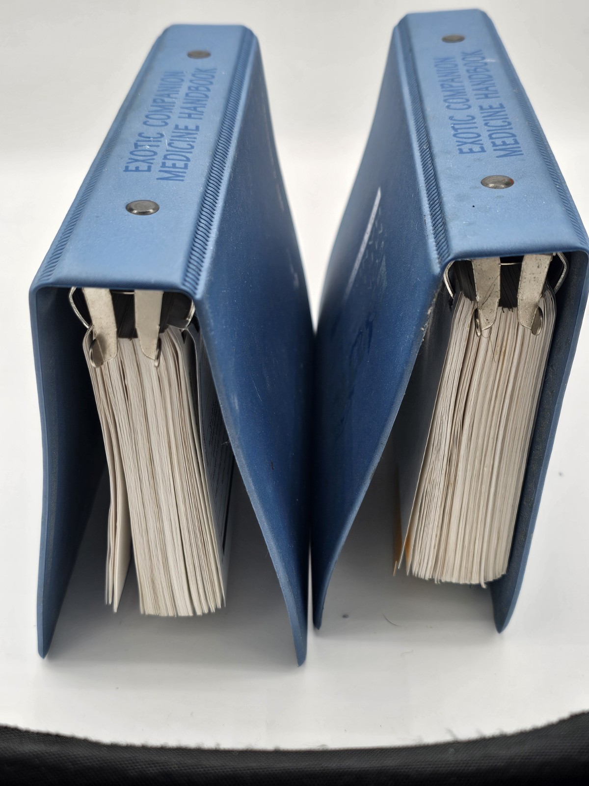 Exotic Companion Medicine Handbook for Veterinarians Johnson-Delaney