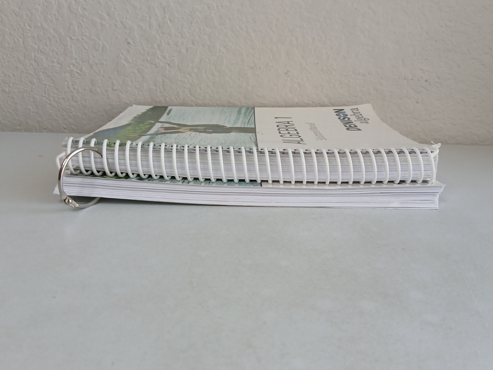 Denison ALGEBRA 1 Solutions Manual and Parent Guide & Test Booklet Book Lot Used