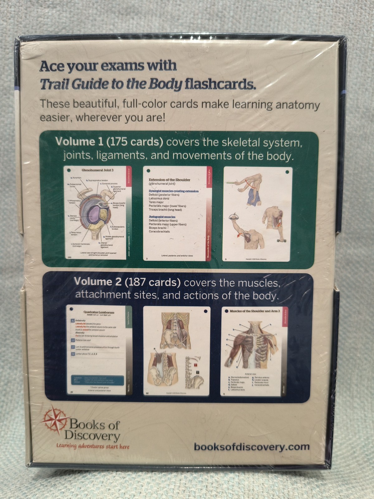 Trail Guide to the Body Flashcards Volume 2: 6th Edition Muscles by Andrew Biel