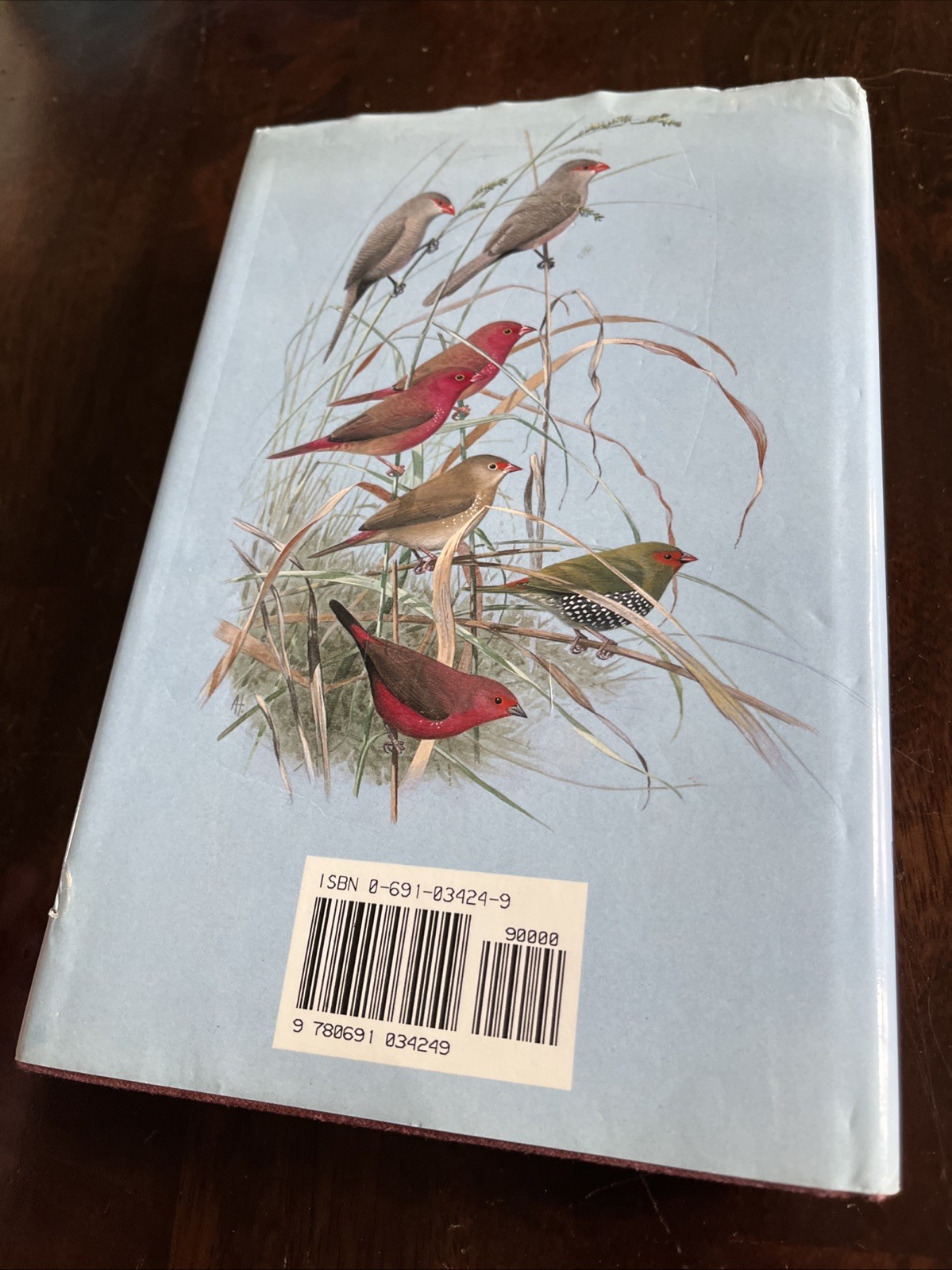 Finches & Sparrows : An Identification Guide by Peter Clement Illustrated! HCDJ
