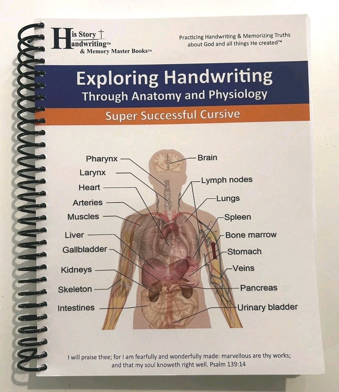 Exploring Handwriting Through Anatomy & Physiology Homeschool Curriculum Book VG