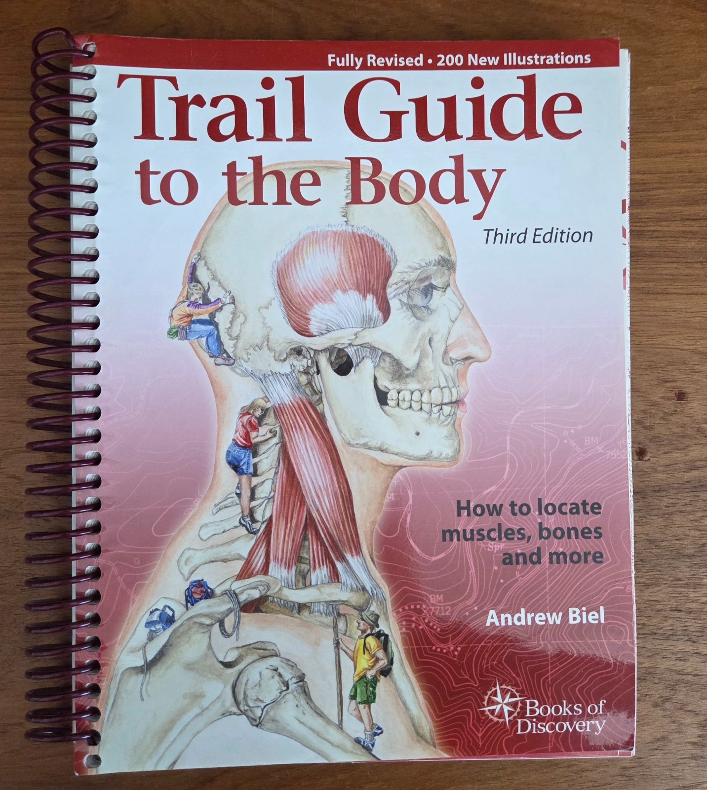 Trail Guide to the Body | Book & Flash Cards Vol 1 & 2 | 3rd ed | by Andrew Biel