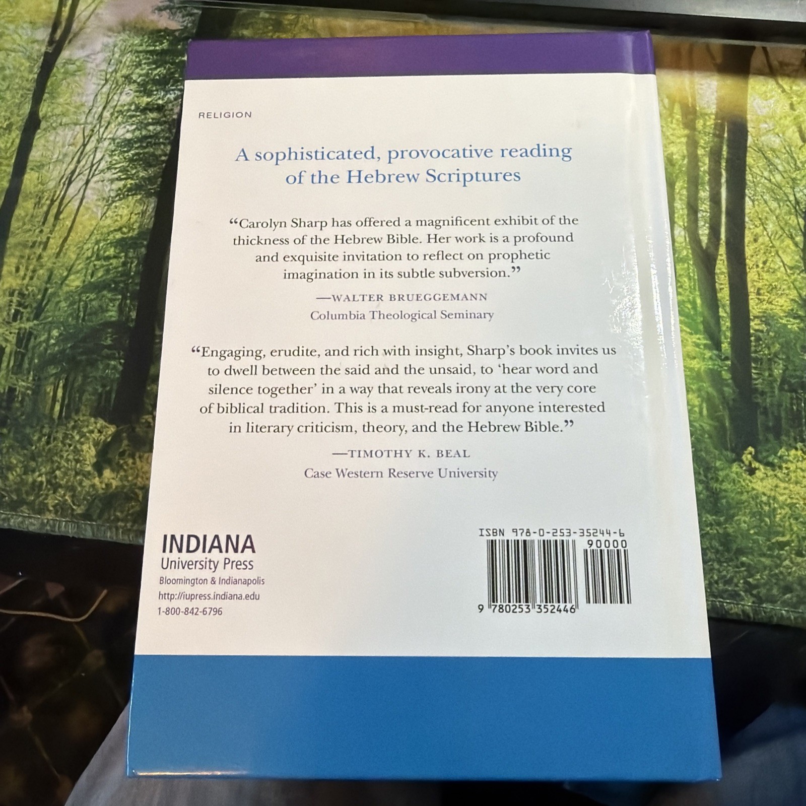 Biblical Literature Ser.: Irony and Meaning in the Hebrew Bible by Carolyn J….