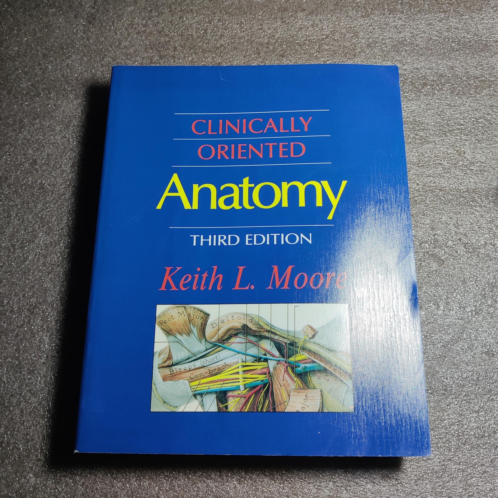 Vintage Clinically Oriented Anatomy Textbook Moore 3rd Ed 1992 Hardcover