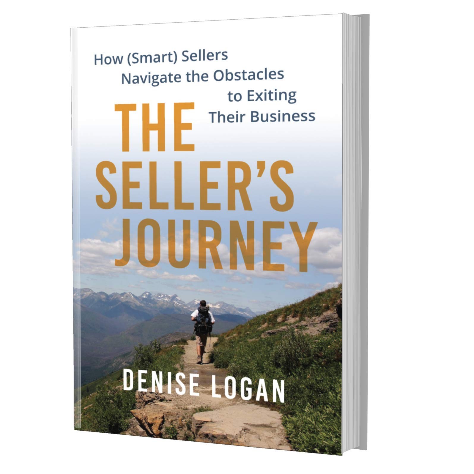 The Sellers Journey – paperback Denise Logan