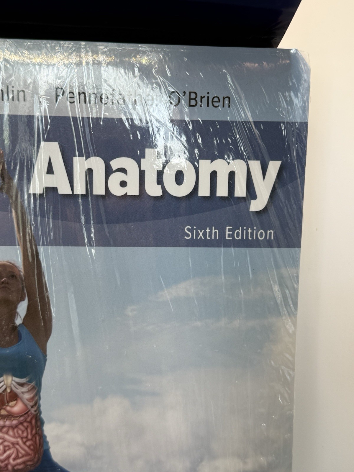 Human Anatomy 6th Ed. Loose Leaf McKinley/O’Loughlin Brand New