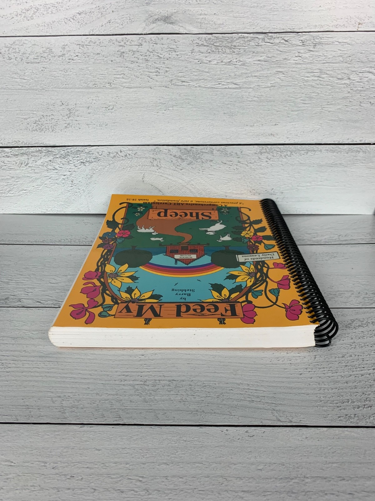 Feed My Sheep Art Curriculum Spiral bound by Barry Stebbing Book Homeschool